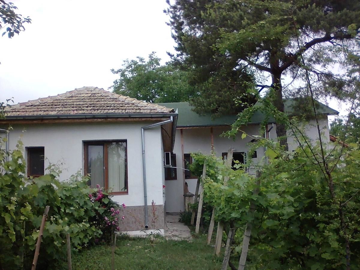 Загородные дома Екологична къща за гости Kovachevets-4